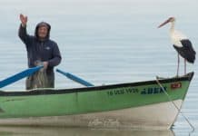 Her Göç Döneminde Adem Amcayı Ziyaret Eden ‘Yaren Leylek’ Bu Yıl Eşiyle Beraber Geldi