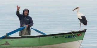 Her Göç Döneminde Adem Amcayı Ziyaret Eden ‘Yaren Leylek’ Bu Yıl Eşiyle Beraber Geldi