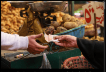 BN / How to Know Where Egypt’s Once-in-Decade Crisis Is Heading