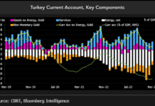 Turkey’s Delayed Policy Adjustment May Lead to a Currency Crisis – Bloomberg Intellegence Turkey Cureent account key components